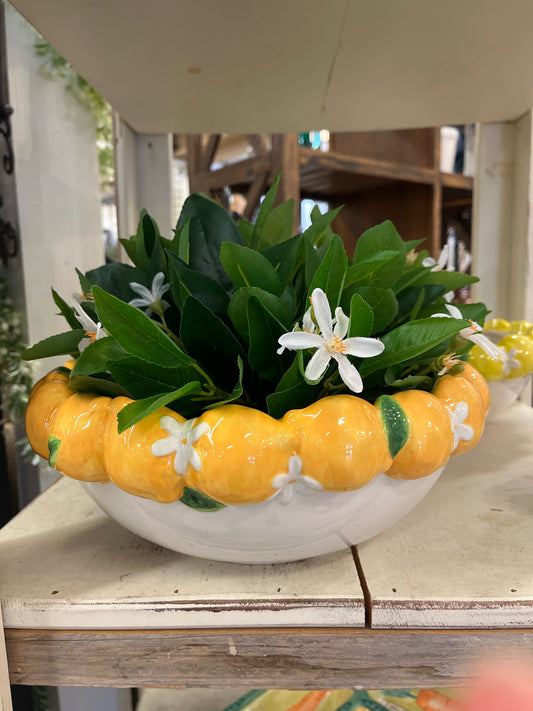Bowl Decorative