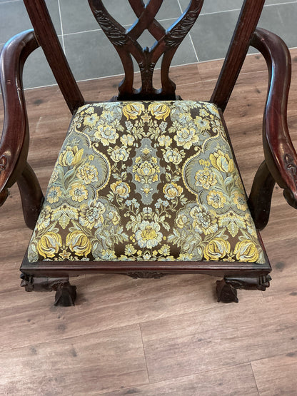 Dining Chairs